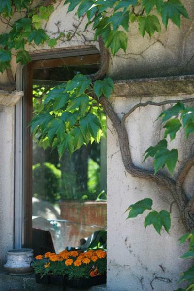 Mas De L'Ermitage Bed & Breakfast Lattes Exterior photo